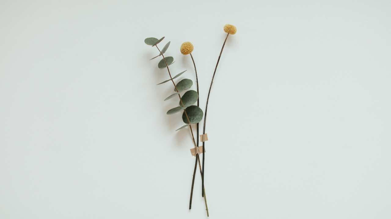 In the mood for love: What fulfilling sex really needs