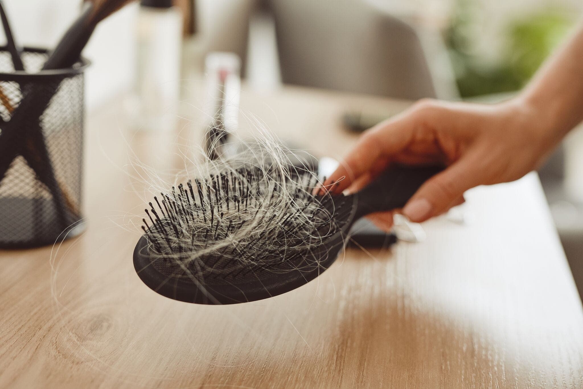 How Hormones and Your Gut Both Decide Whether You Lose Your Hair