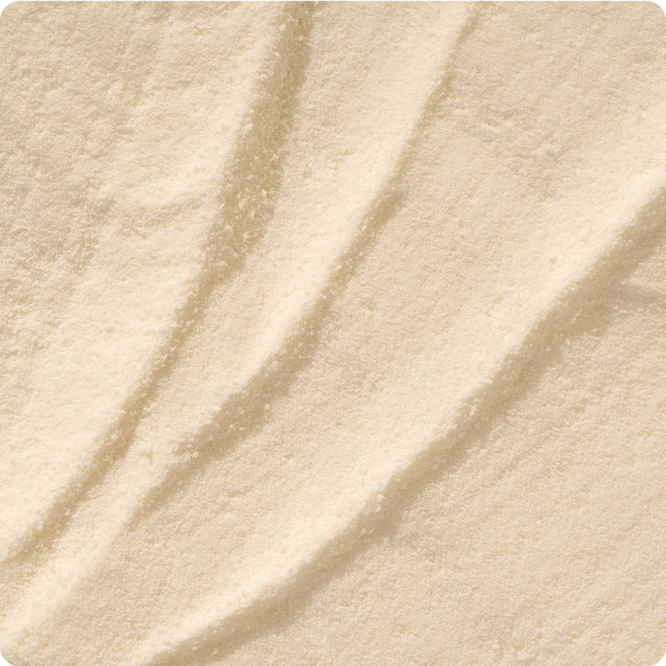 Bildbeschreibung nicht verfügbar