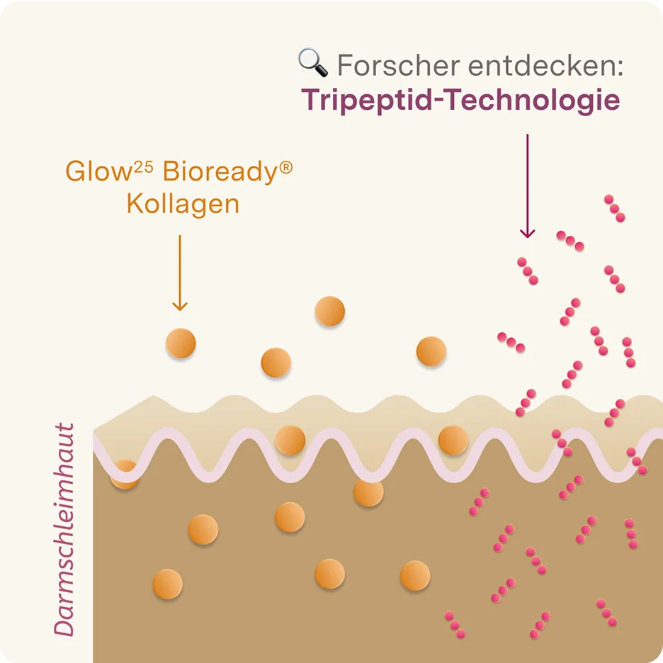 Bildbeschreibung nicht verfügbar