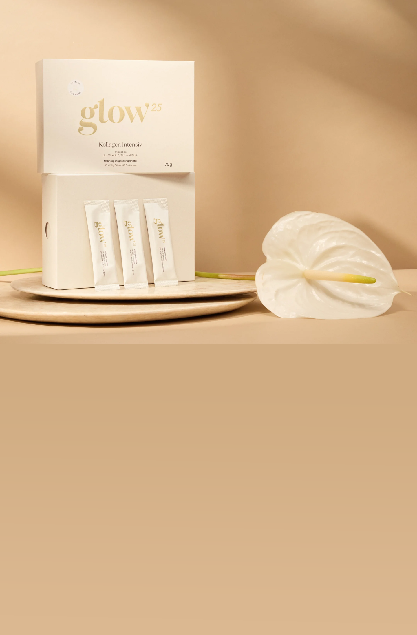 Bildbeschreibung nicht verfügbar