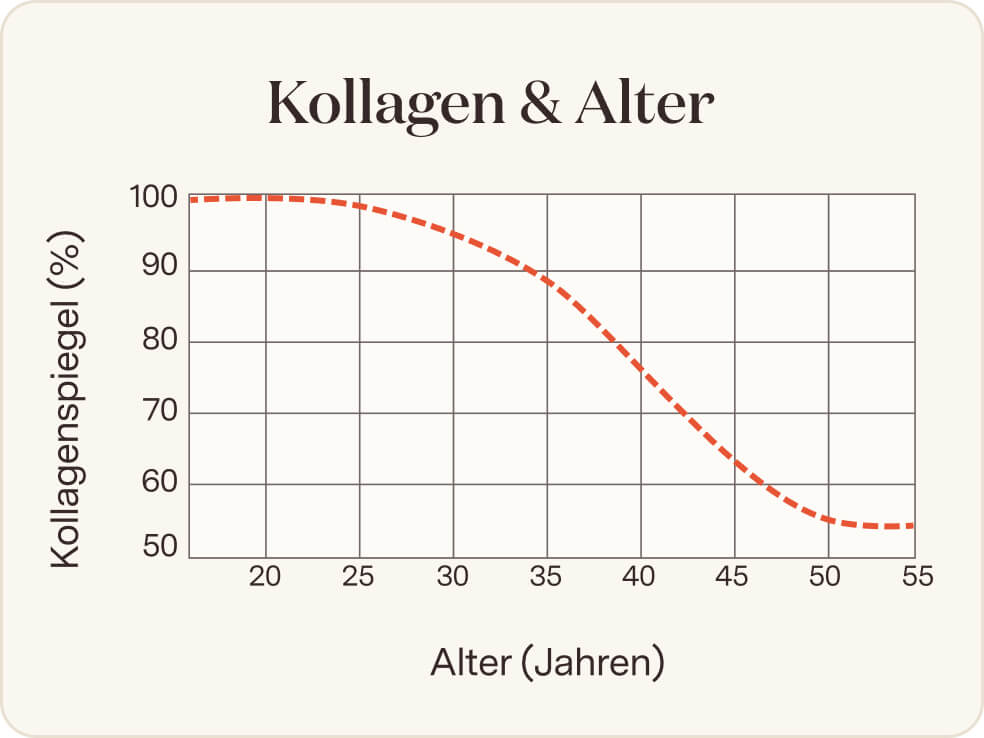 Bildbeschreibung nicht verfügbar