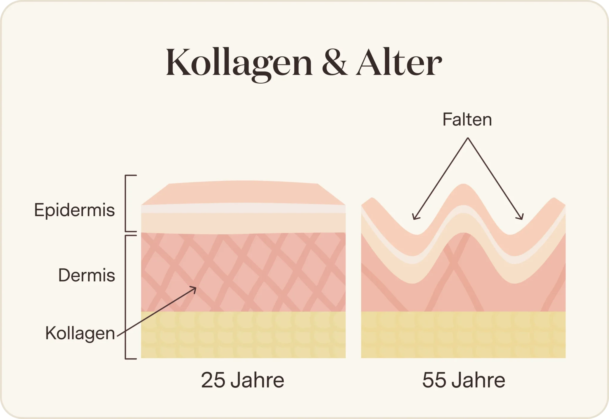 Bildbeschreibung nicht verfügbar
