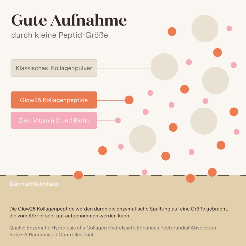 Glow25 Kollagen Plus - Men's Edition – Bild 6