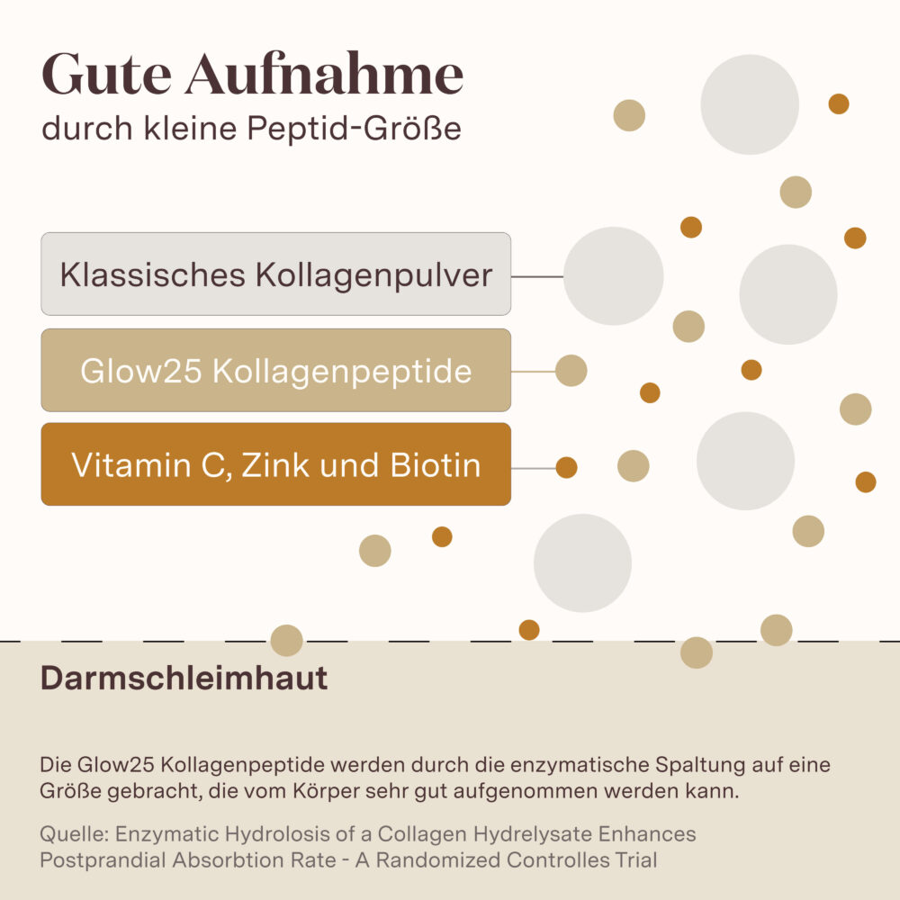 Glow25 Kollagen Plus Typ Karamell – Limited Edition – Bild 7