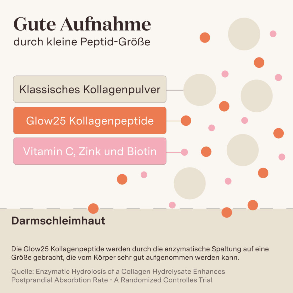 Glow 25 Kollagen Plus Sachets – Bild 6