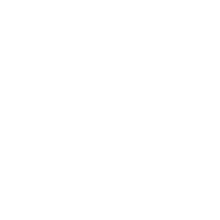 Copy icon